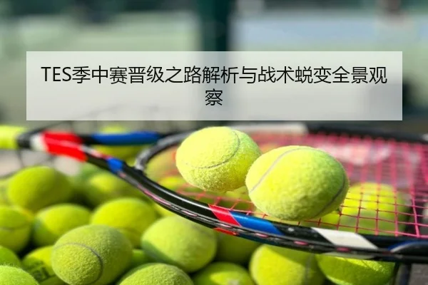 TES季中赛晋级之路解析与战术蜕变全景观察
