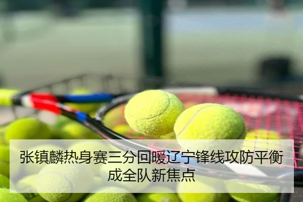 张镇麟热身赛三分回暖辽宁锋线攻防平衡成全队新焦点