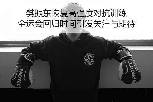 樊振东恢复高强度对抗训练 全运会回归时间引发关注与期待